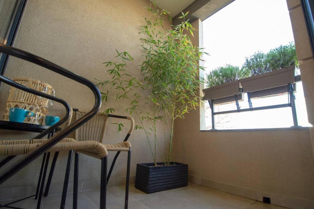 בלגרד Gardos Bauhaus Apartment מראה חיצוני תמונה